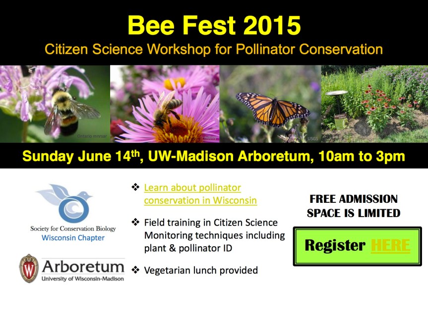 Bee Fest 2015
