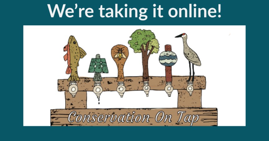 Conservation on Tap logo online
