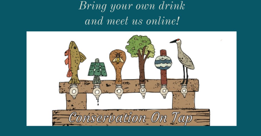 Conservation on tap onlline